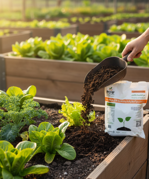 Gemini_Generated_Image_5m55f25m55f25m55